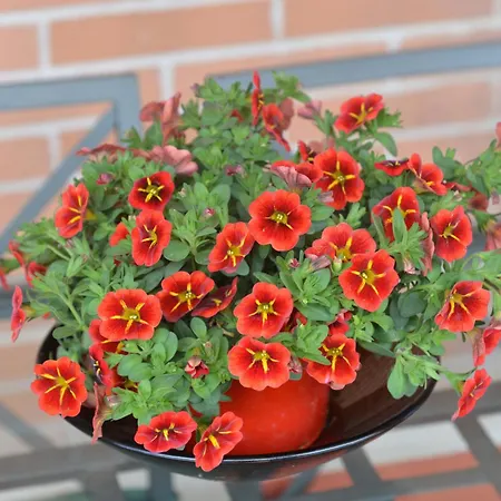 Luciana - 3 Min Train To Fco Airport & Fiera Apartamento *