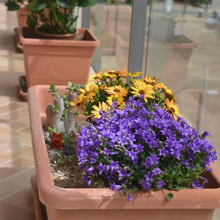 Luciana - A Step Away From Everything Apartamento Fiumicino